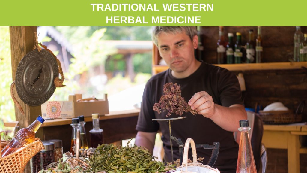 Western Herbal Medicine