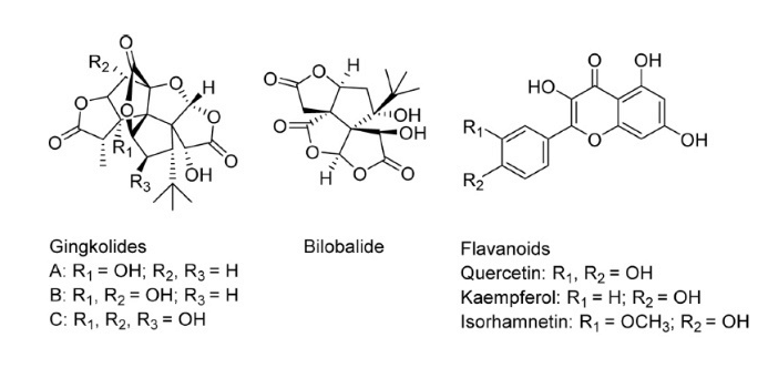 Ginkgo-Biloba Active-Constituents
