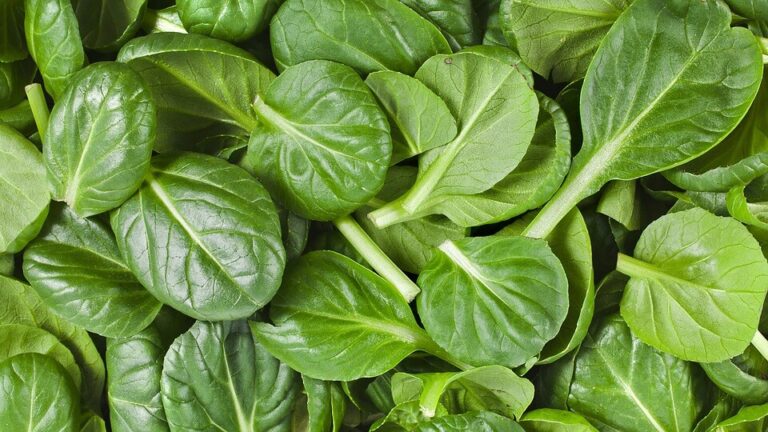 spinach for boosting metabolism