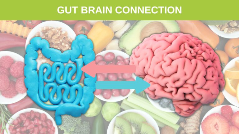 The Gut Brain connection