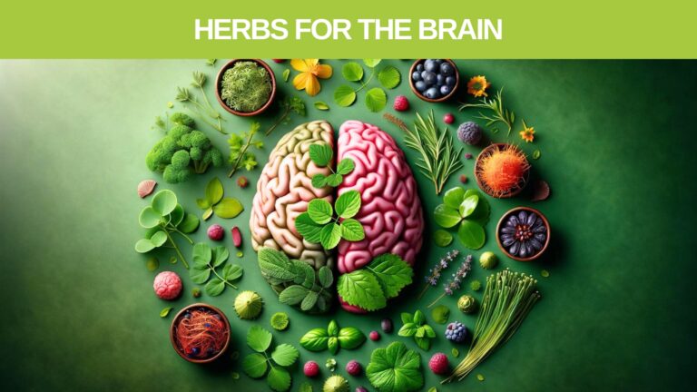 Herbs For The Brain