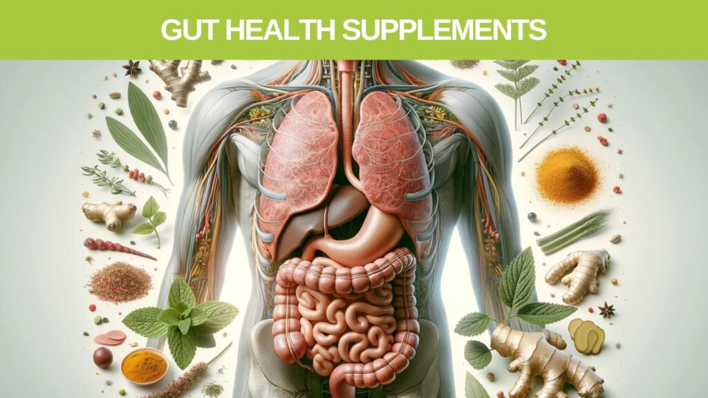Gut Health supplements