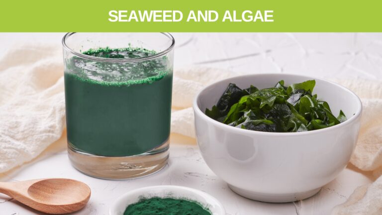 Seaweed-and-Algae