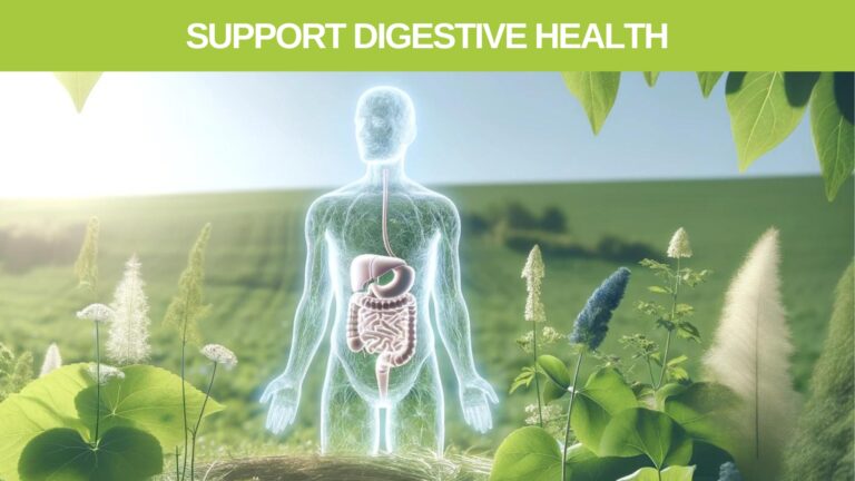 Support Digestive Health