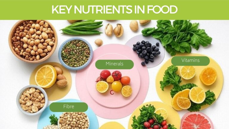 Key-Nutrients-in-food
