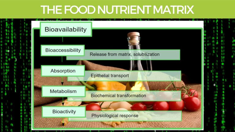 The-Food-Nutrient-matrix