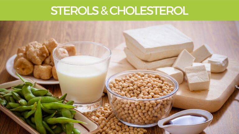 Sterols and Cholesterol