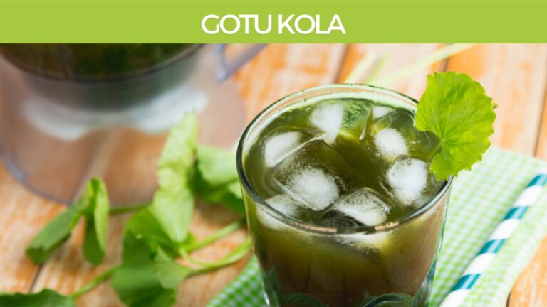 Gotu Kola (Cantella Asciatica) Tea