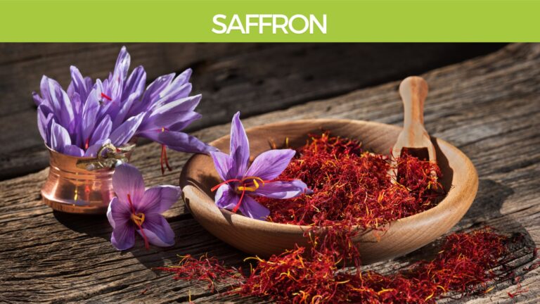 Saffron-Crocus-sativus-brain health
