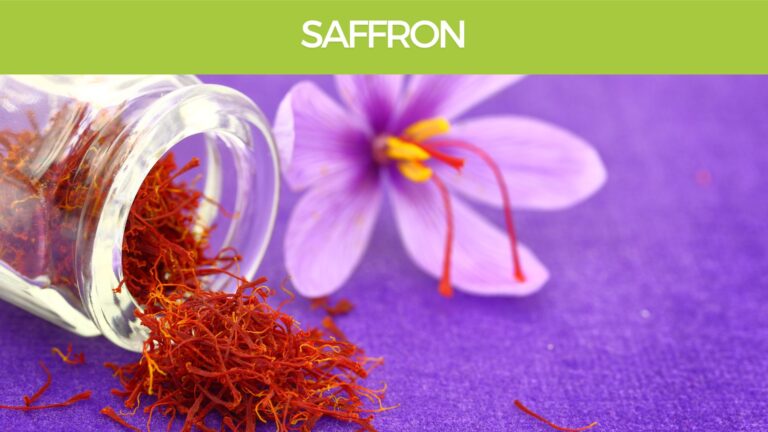 Saffron-Crocus-sativus-brain health
