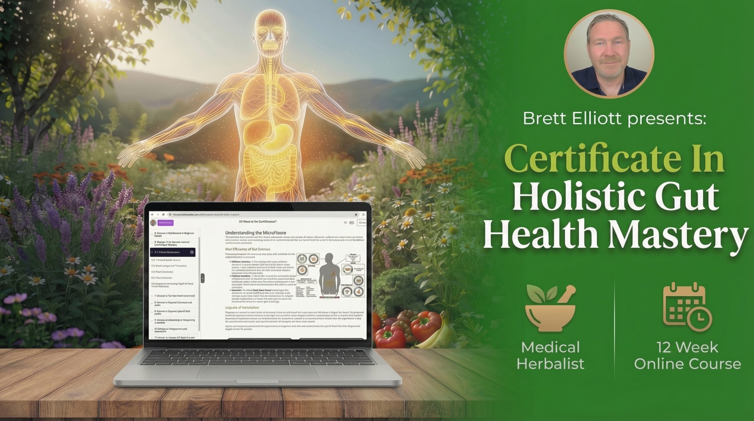 Certificate In Holistic Gut Health Mastery