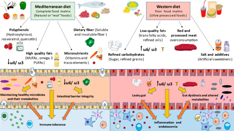 leaky gut syndrome diet-and-gut-permeability