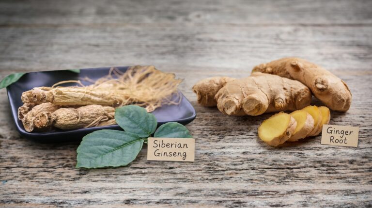 Siberian Ginseng and Ginger root for stress and cortisol regulation