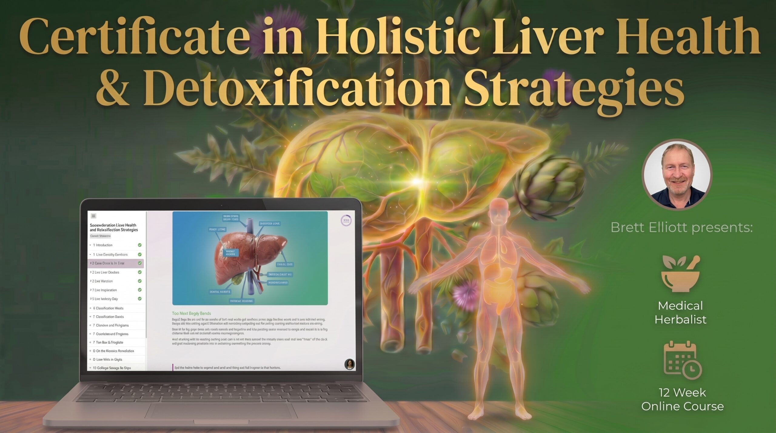 Certificate In Holistic Liver Health & Detoxification Strategies